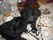 May 2009