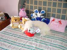May 2009