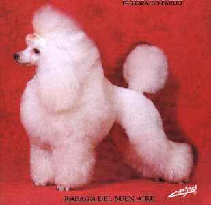 Ráfaga